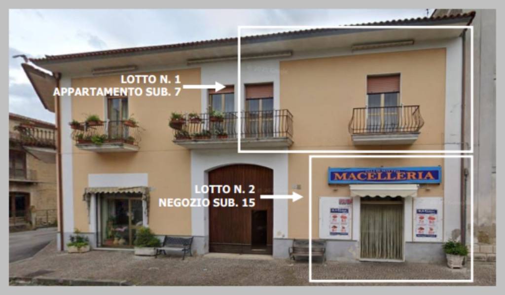 immagine annuncio 12 di 15