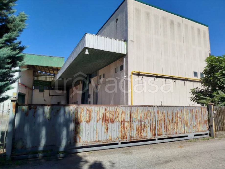 immagine annuncio 5 di 15