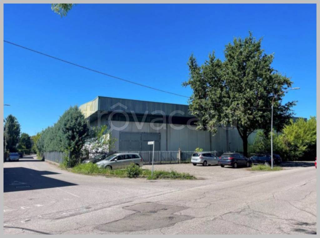 immagine annuncio 12 di 15