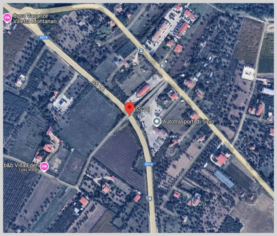 immagine annuncio 12 di 15