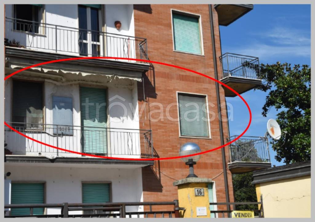 immagine annuncio 10 di 15