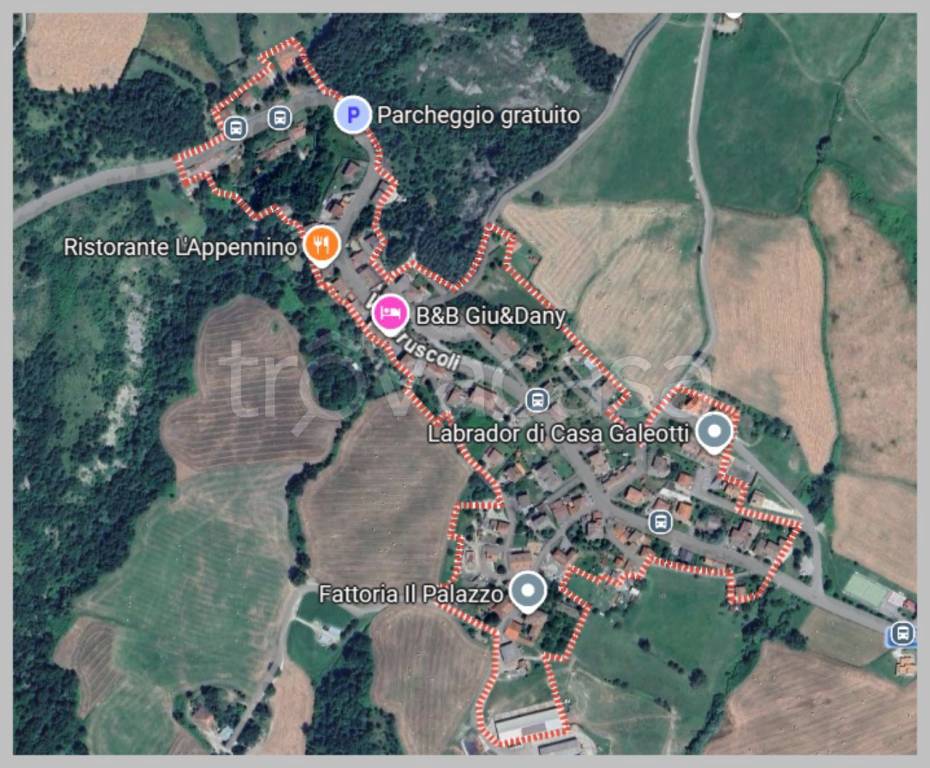 immagine annuncio 12 di 15