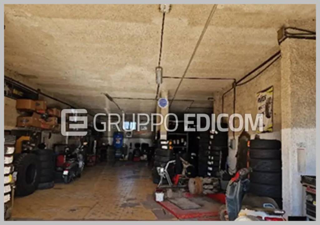 immagine annuncio 12 di 15