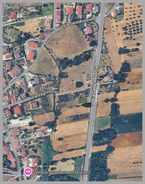 immagine annuncio 12 di 15