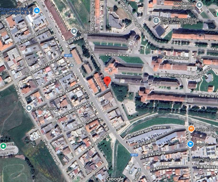 immagine annuncio 3 di 15