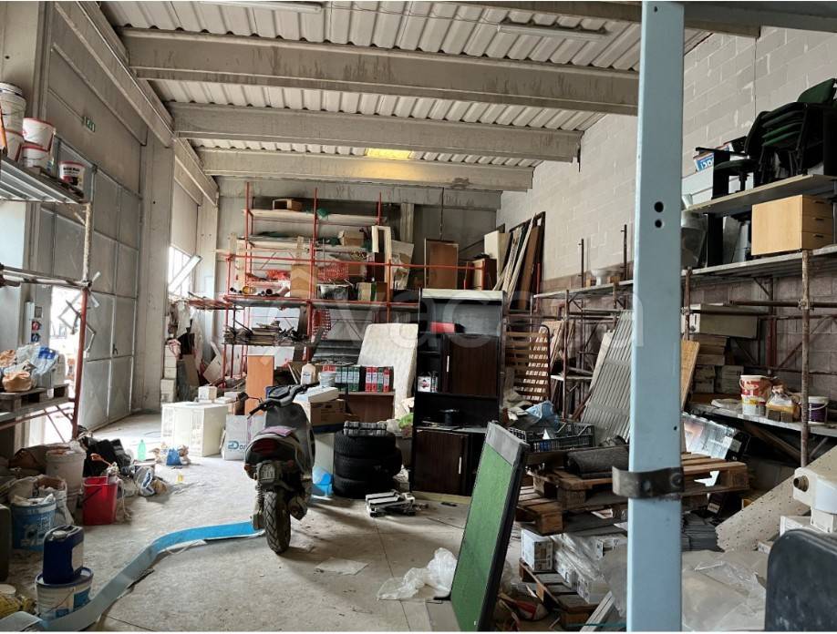 immagine annuncio 4 di 15