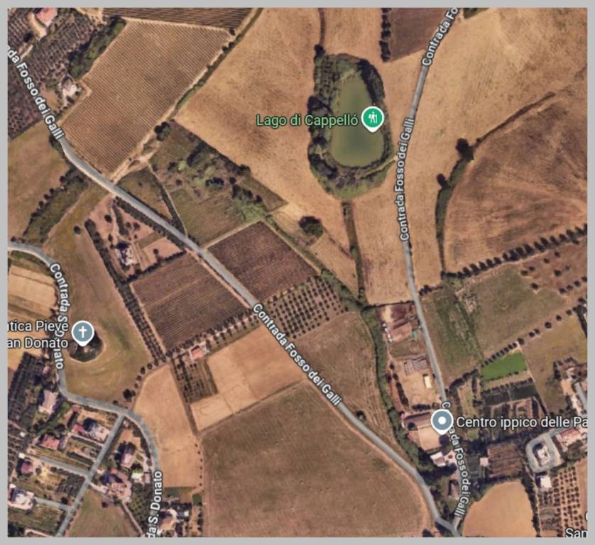 immagine annuncio 10 di 15