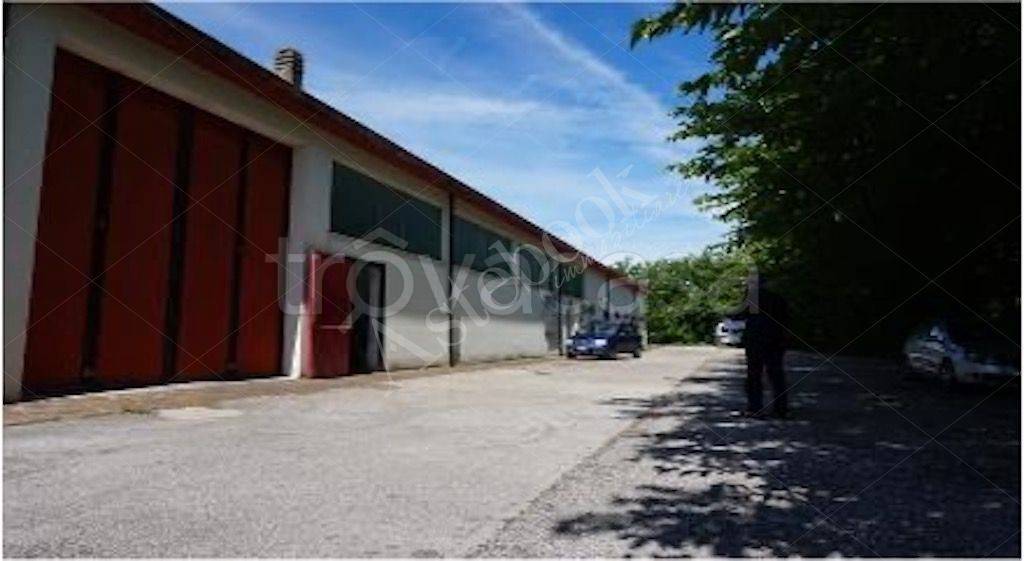 immagine annuncio 6 di 10