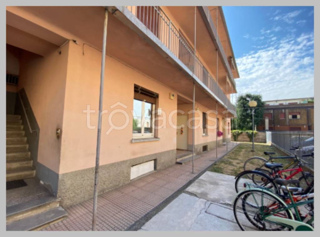 immagine annuncio 12 di 15