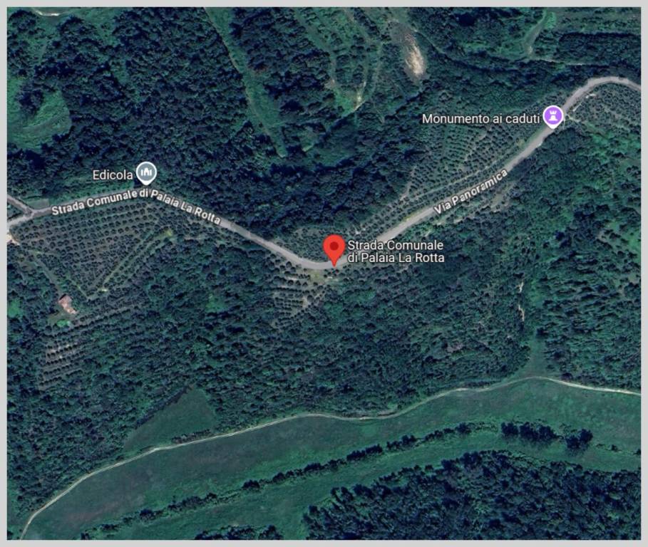 immagine annuncio 12 di 15