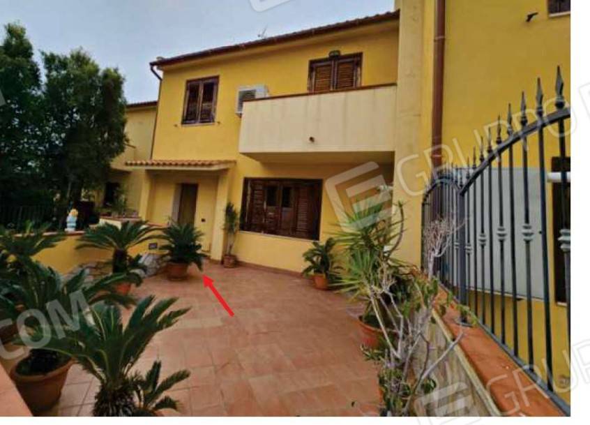 immagine annuncio 10 di 15