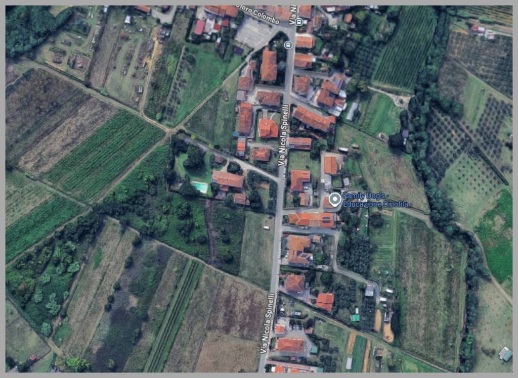 immagine annuncio 9 di 15