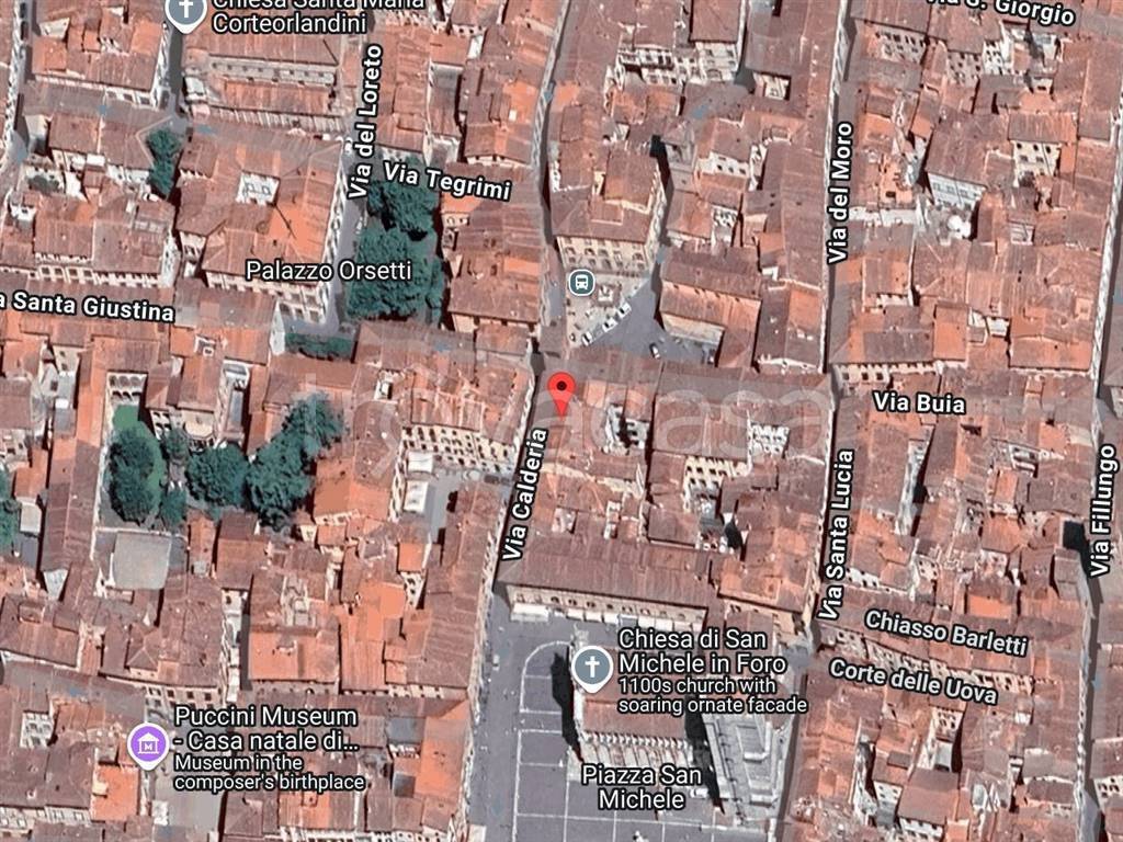 negozio in vendita a Lucca in zona Chiatri