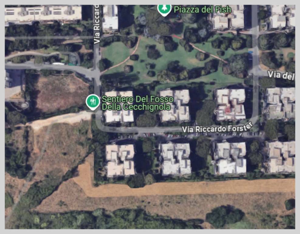 immagine annuncio 11 di 15