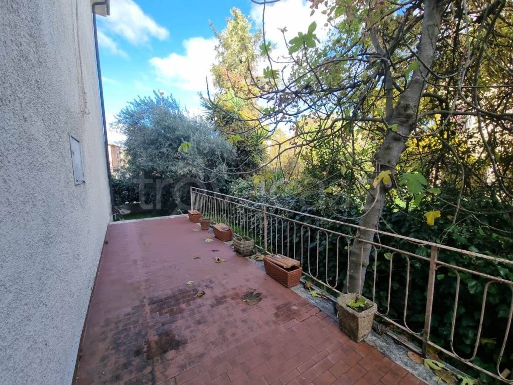 immagine annuncio 7 di 8