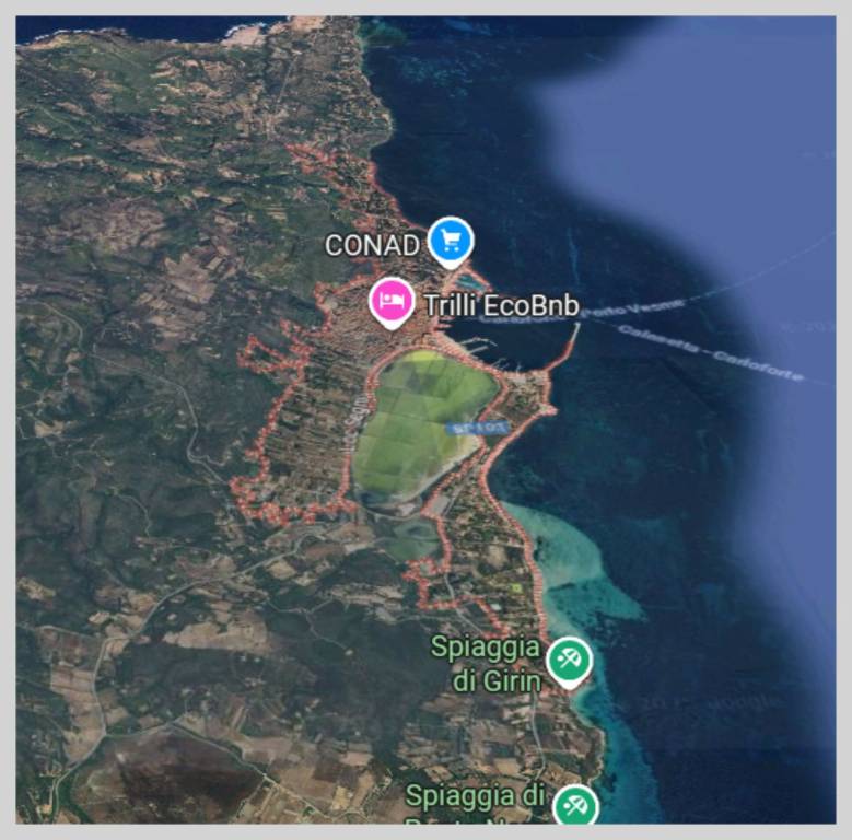 immagine annuncio 12 di 15