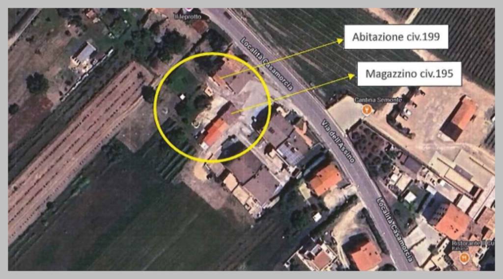 immagine annuncio 10 di 15