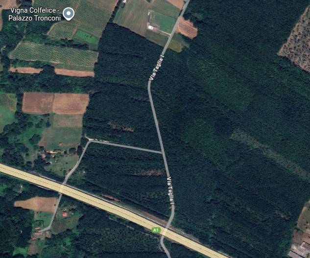 immagine annuncio 3 di 15