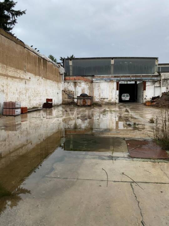 immagine annuncio 11 di 15