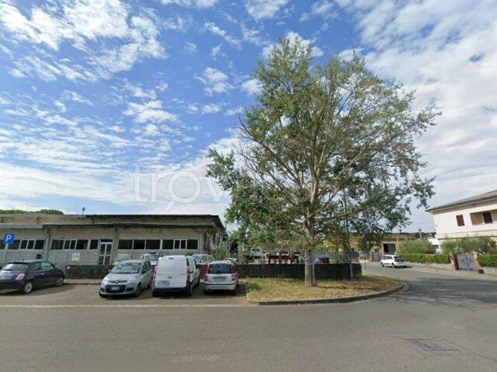 immagine annuncio 2 di 11