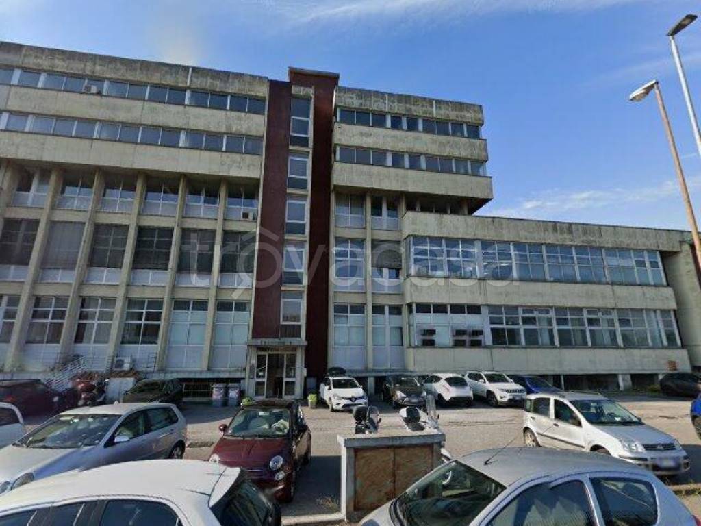 immagine annuncio 2 di 11