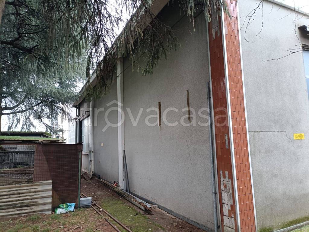 immagine annuncio 7 di 15