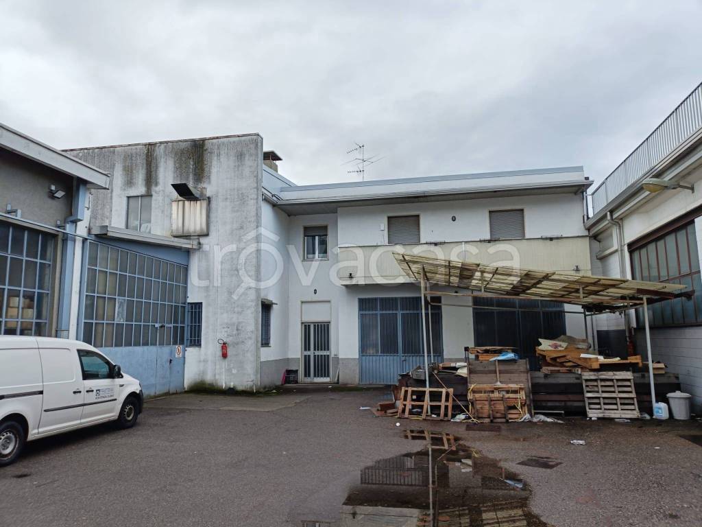 immagine annuncio 11 di 15