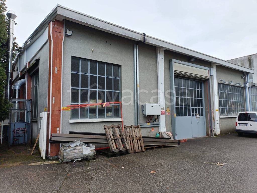 immagine annuncio 12 di 15