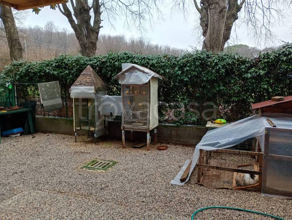 immagine annuncio 7 di 11