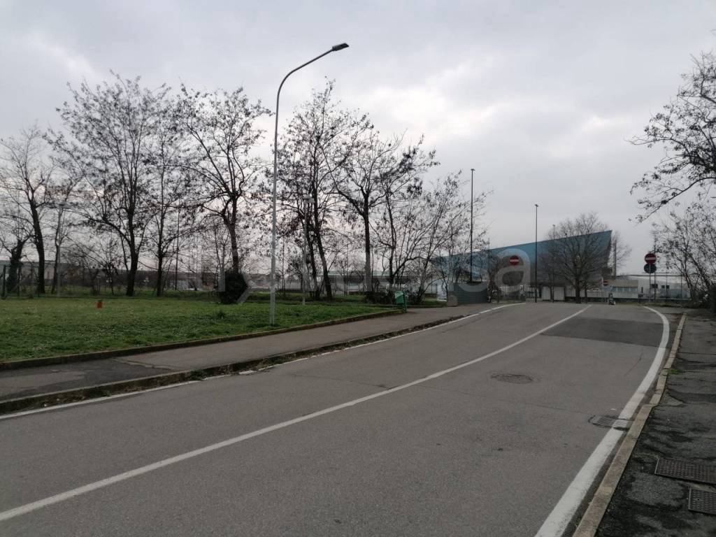 immagine annuncio 9 di 11