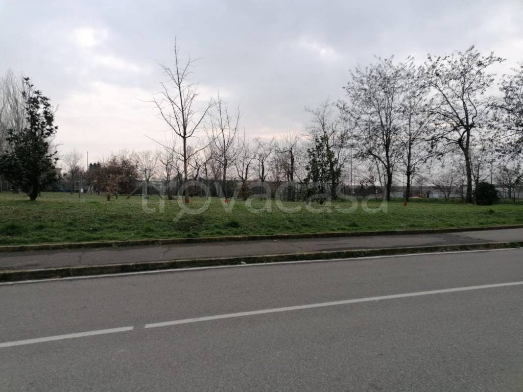 immagine annuncio 10 di 11