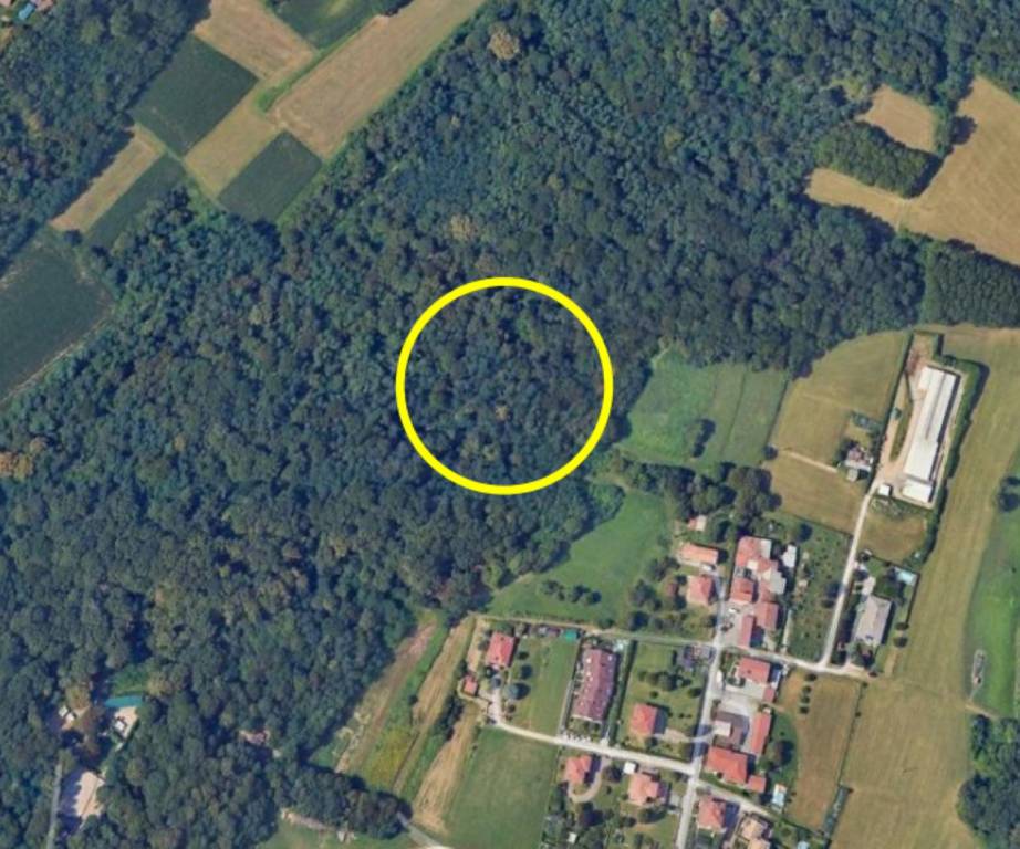 immagine annuncio 1 di 9