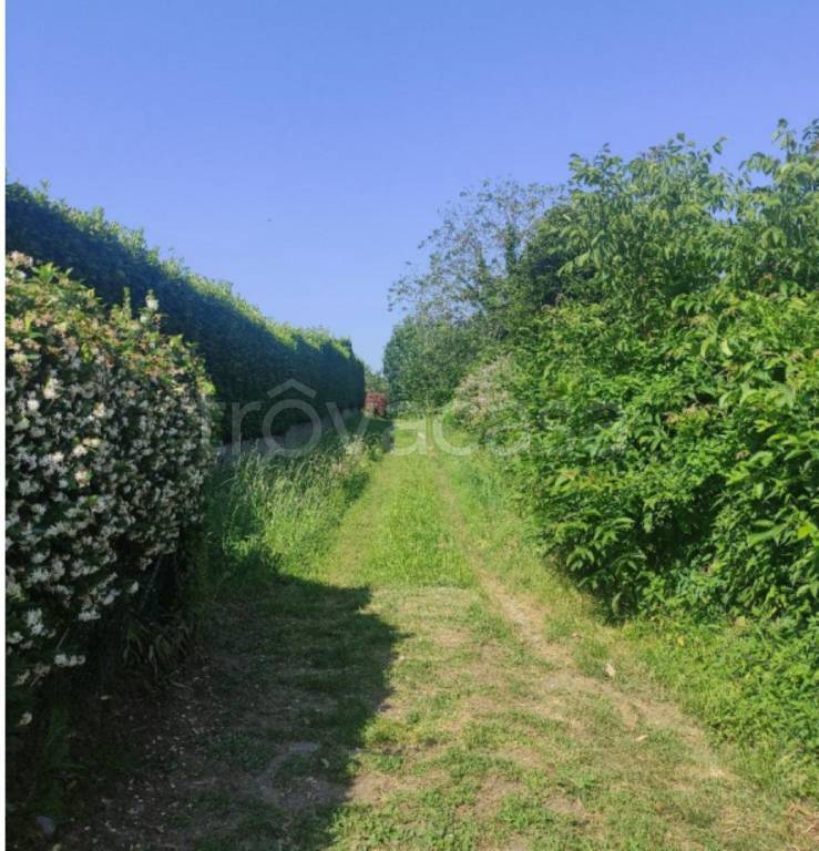 immagine annuncio 3 di 9