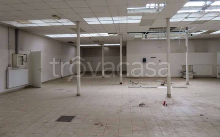 immagine annuncio 4 di 11