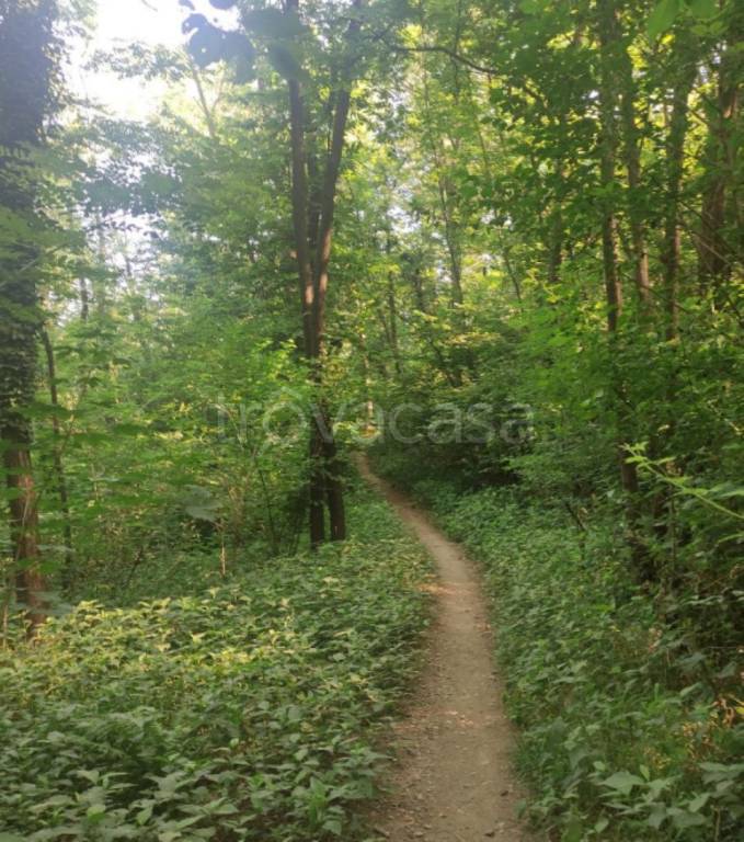 immagine annuncio 6 di 9