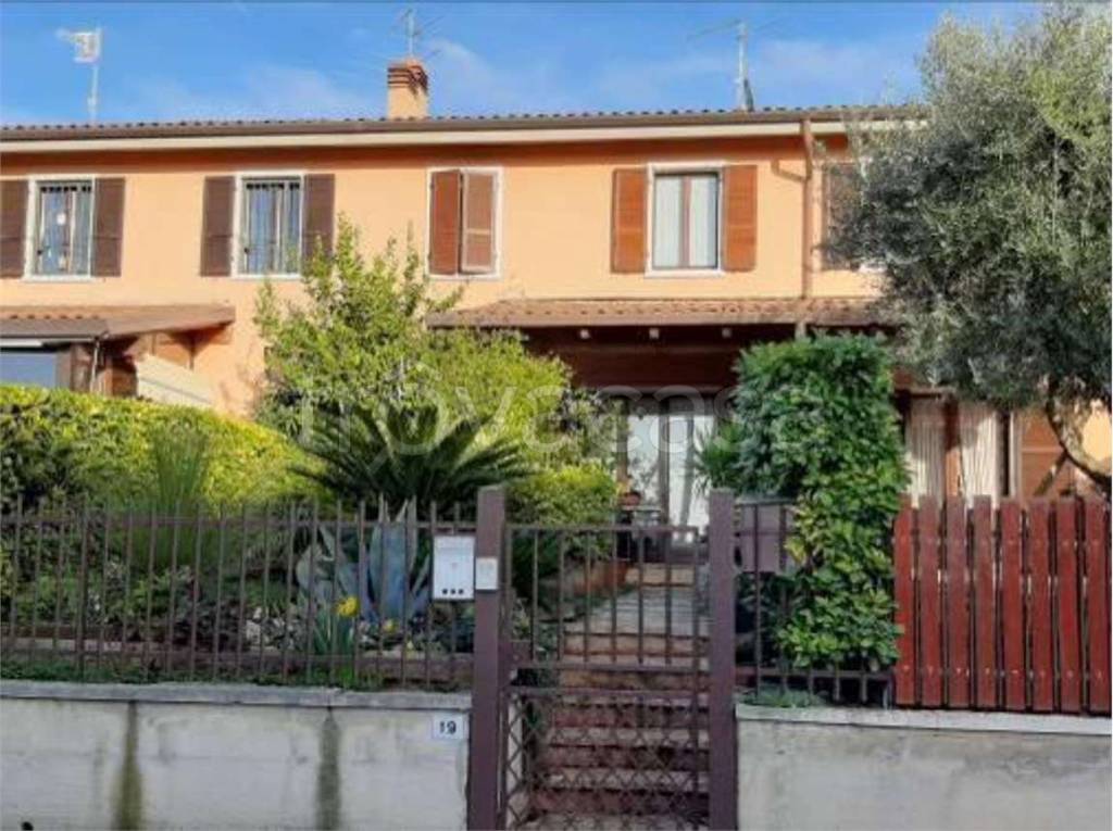 immagine annuncio 2 di 15