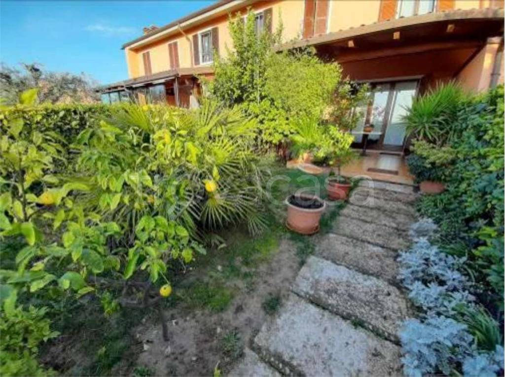 immagine annuncio 9 di 15