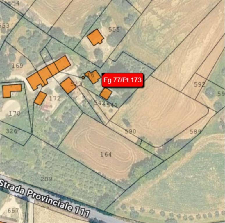 immagine annuncio 6 di 15