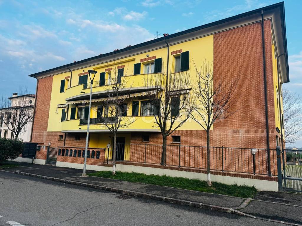 immagine annuncio 11 di 12