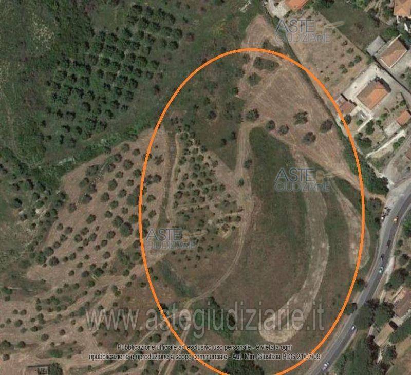 immagine annuncio 8 di 9