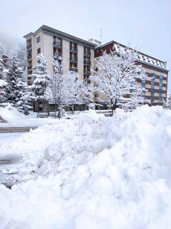 immagine annuncio 3 di 6