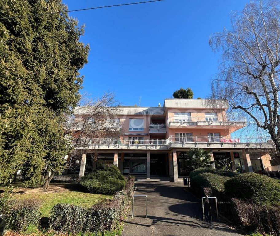 immagine annuncio 2 di 7