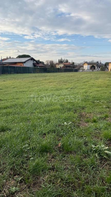 immagine annuncio 1 di 2