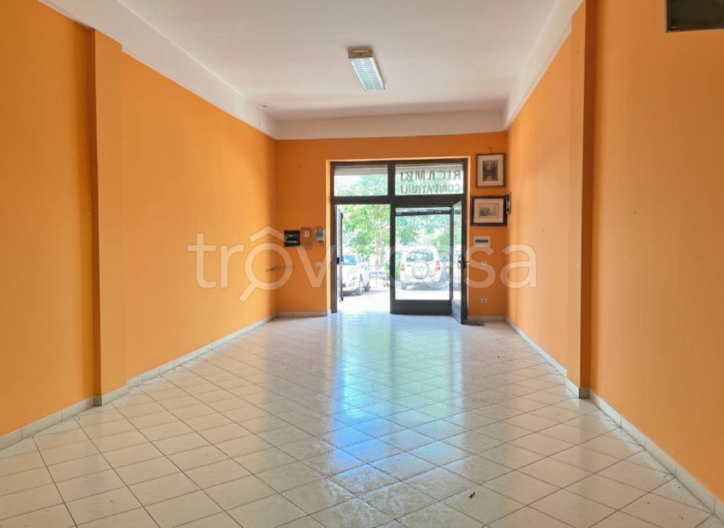 immagine annuncio 1 di 9