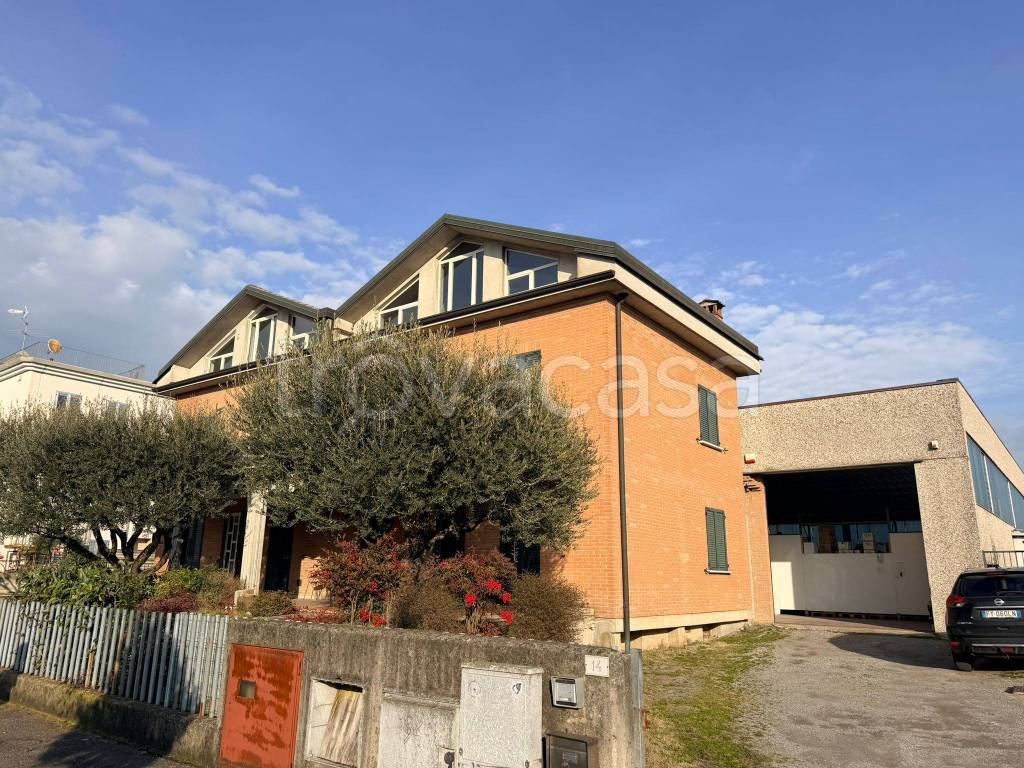 immagine annuncio 1 di 15