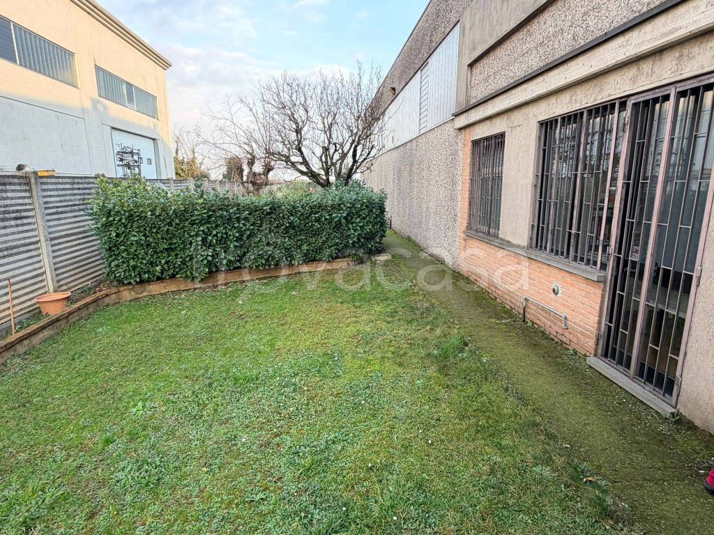 immagine annuncio 5 di 15