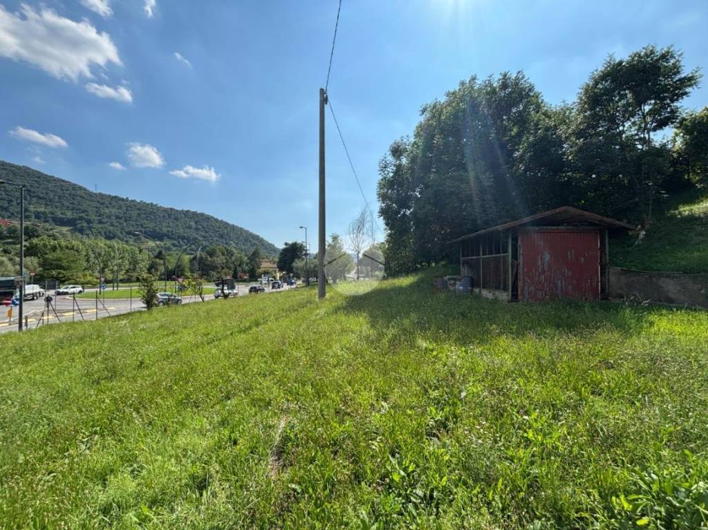 immagine annuncio 7 di 13