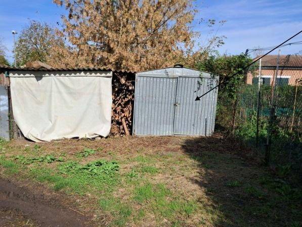 immagine annuncio 6 di 14