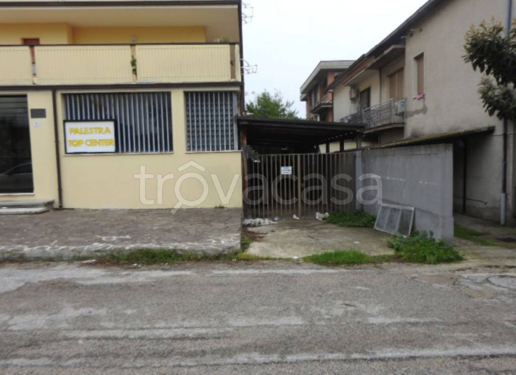 immagine annuncio 2 di 11