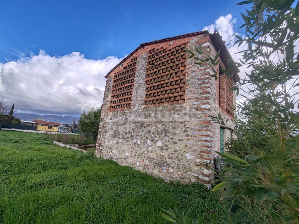 immagine annuncio 1 di 6